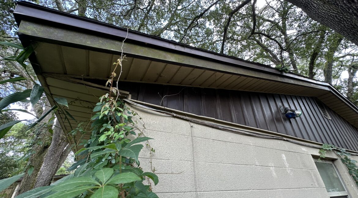 Photo Aug 08 2025, 2 31 29 PM