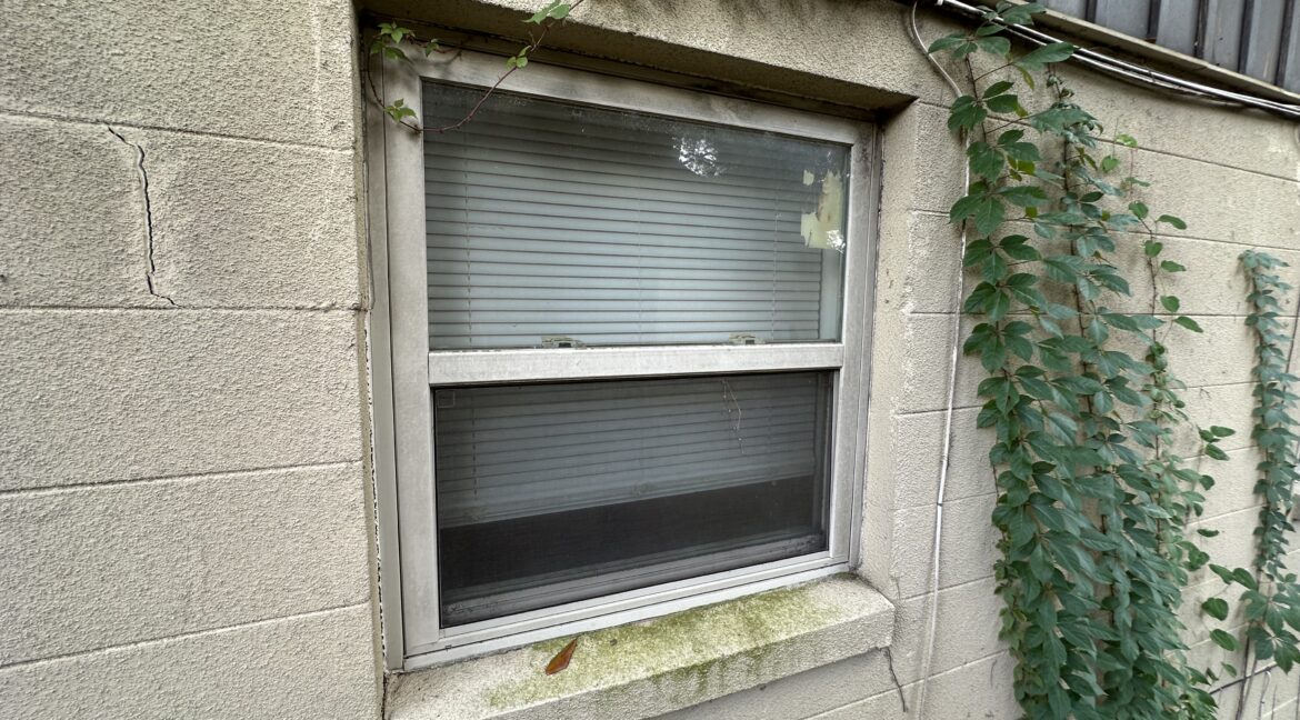 Photo Aug 08 2025, 2 31 33 PM