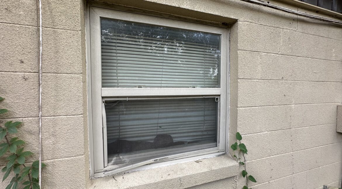 Photo Aug 08 2025, 2 31 38 PM