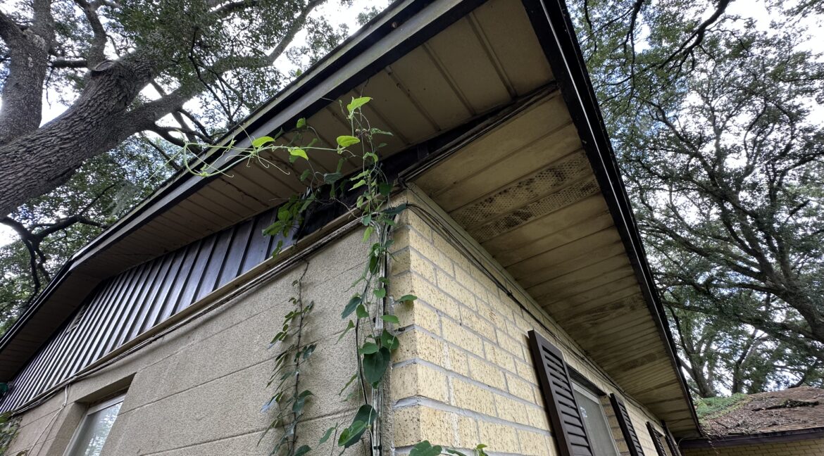 Photo Aug 08 2025, 2 32 07 PM