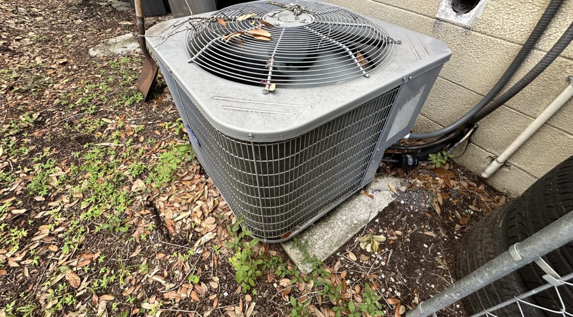 Photo Aug 08 2025, 2 33 11 PM