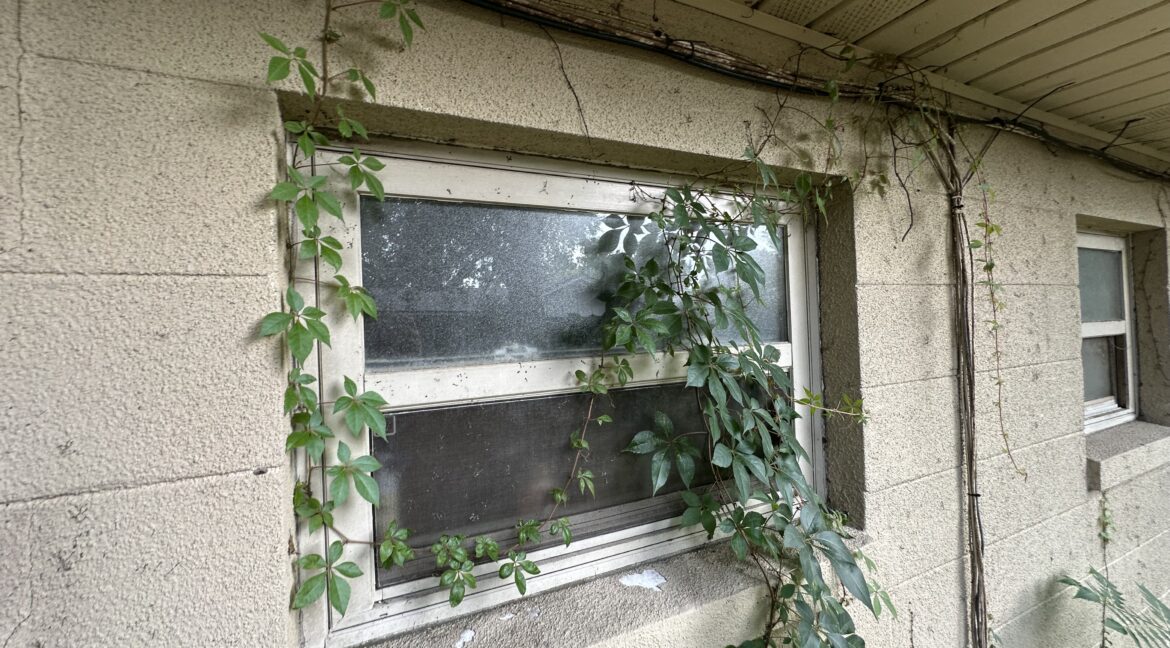 Photo Aug 08 2025, 2 34 29 PM