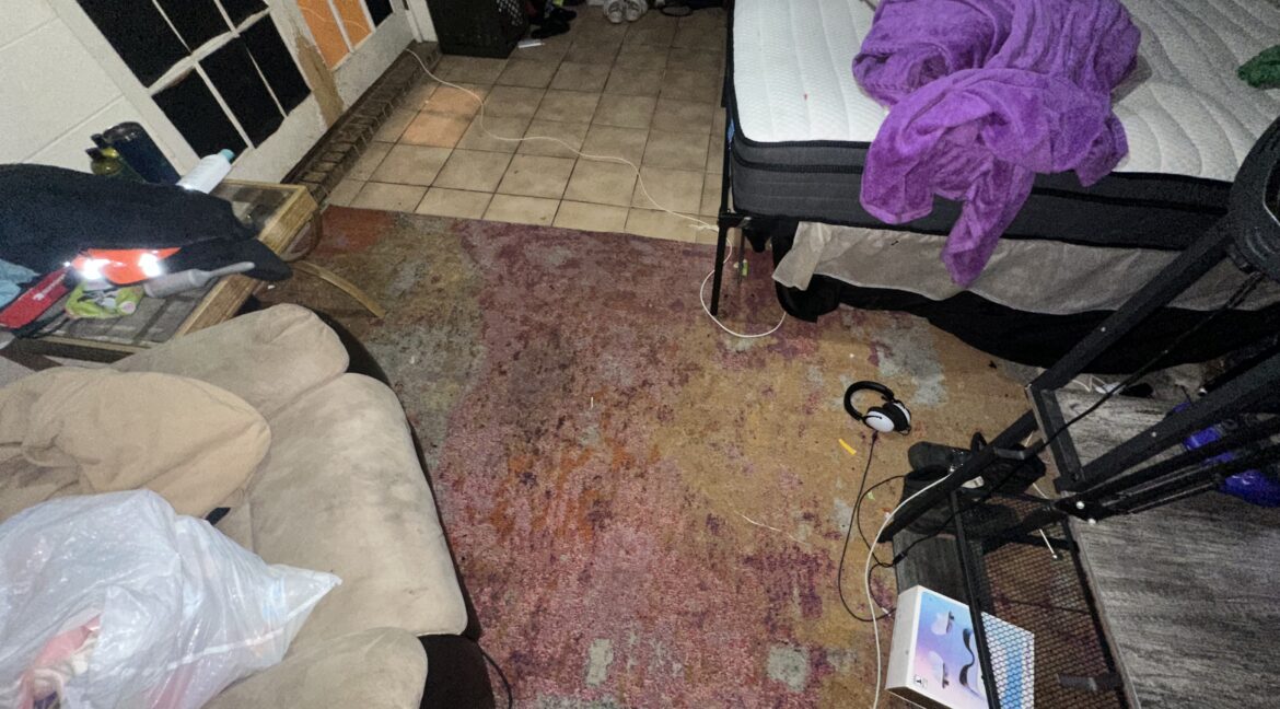 Photo Aug 08 2025, 3 00 56 PM