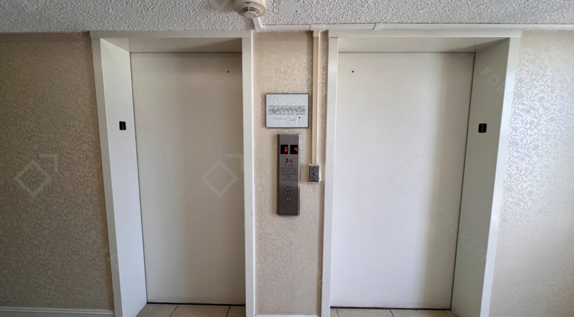 Photo Aug 15 2025, 13 15 46