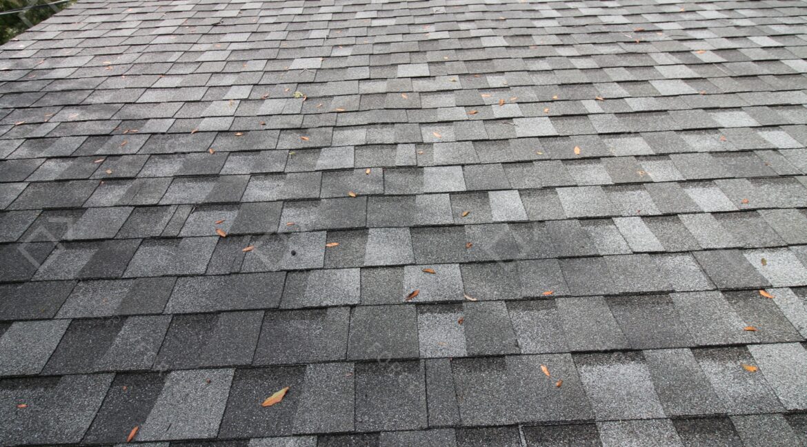 1644 W Pinion Ln Dunnellon, FL 34434 (70)