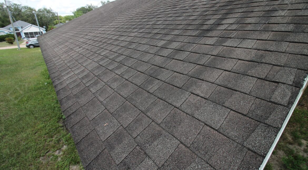 40042 Palm St Lady Lake, FL 32159 (13)