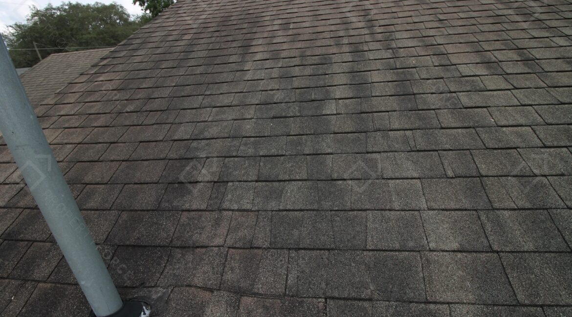 40042 Palm St Lady Lake, FL 32159 (14)