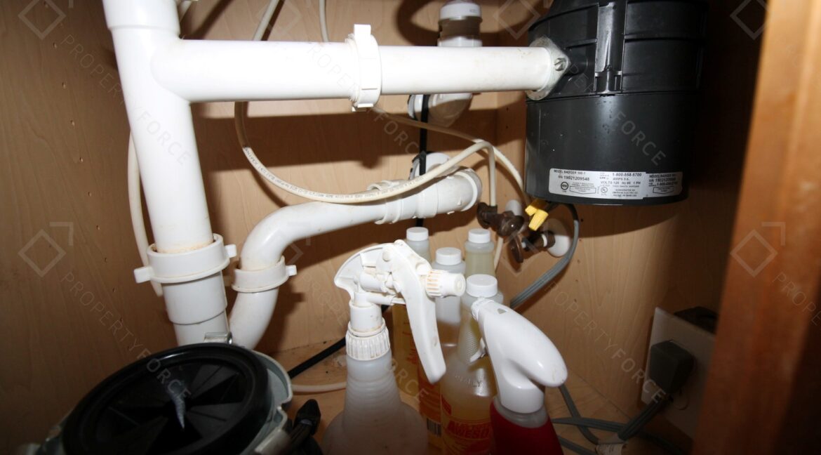 40042 Palm St Lady Lake, FL 32159 (26)