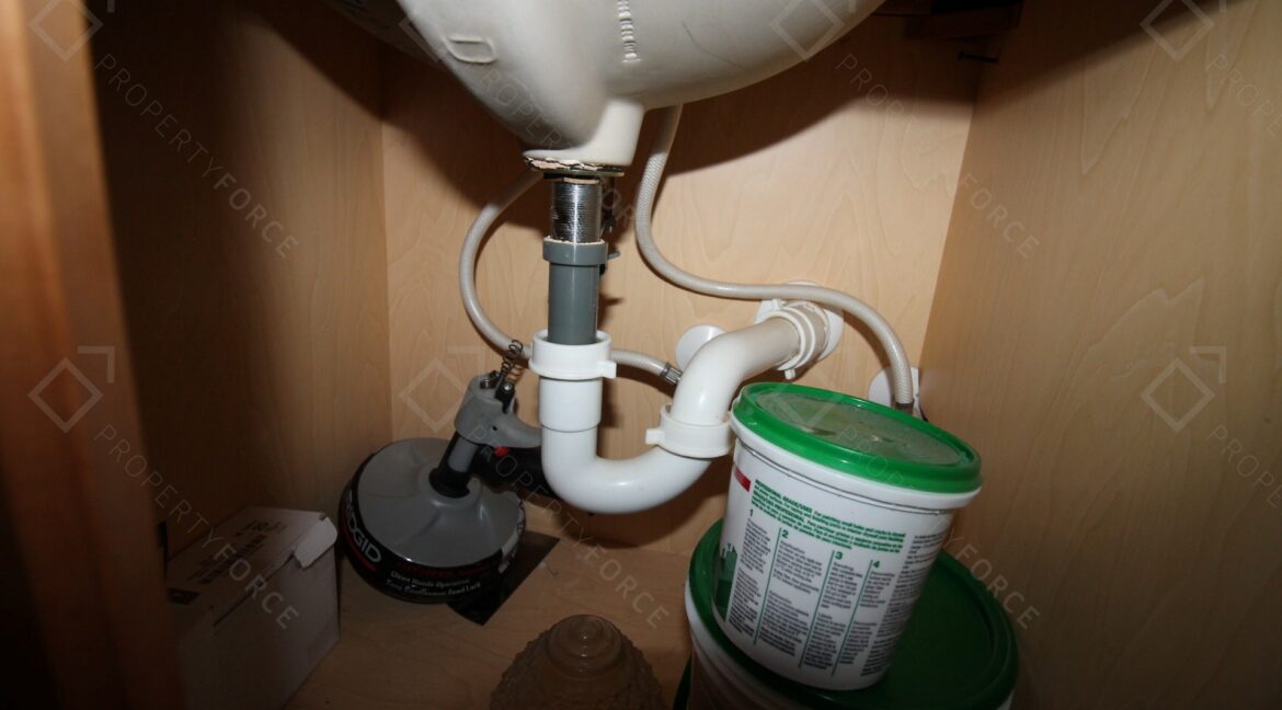 40042 Palm St Lady Lake, FL 32159 (40)