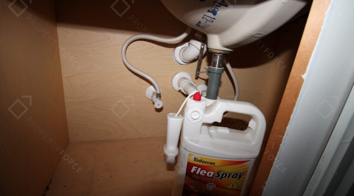 40042 Palm St Lady Lake, FL 32159 (50)