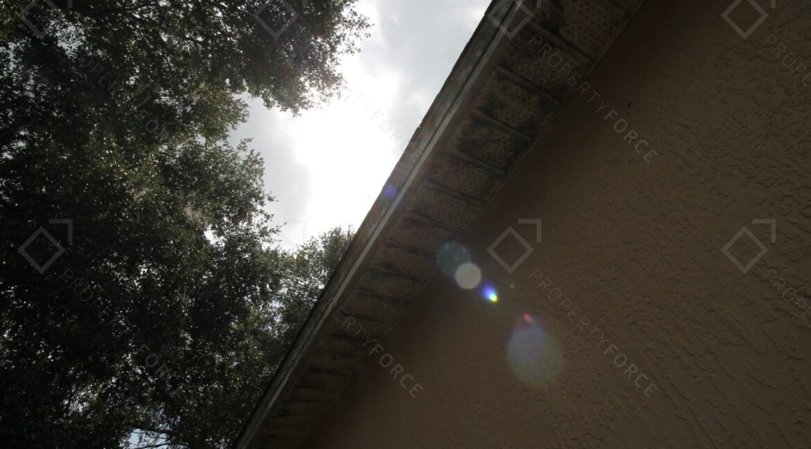 40042 Palm St Lady Lake, FL 32159 (9)