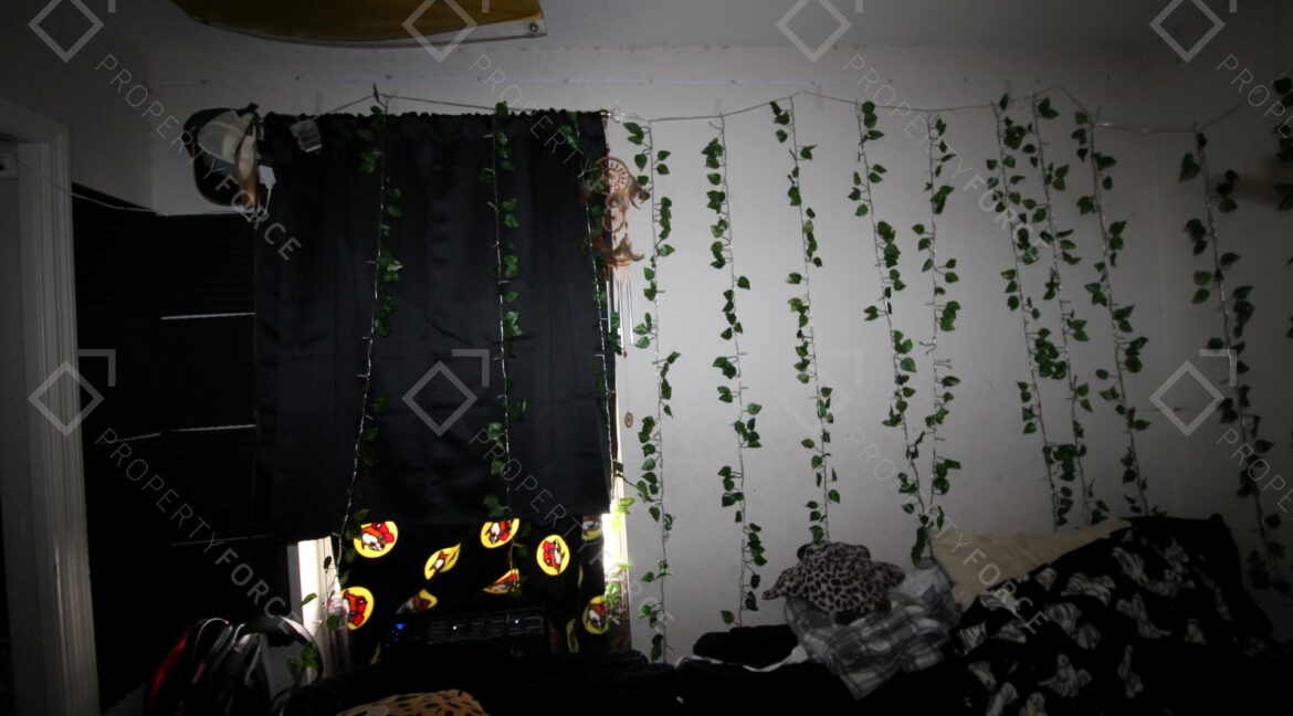 5071 Belmont Park Ln, Mulberry, FL 33860 (33)