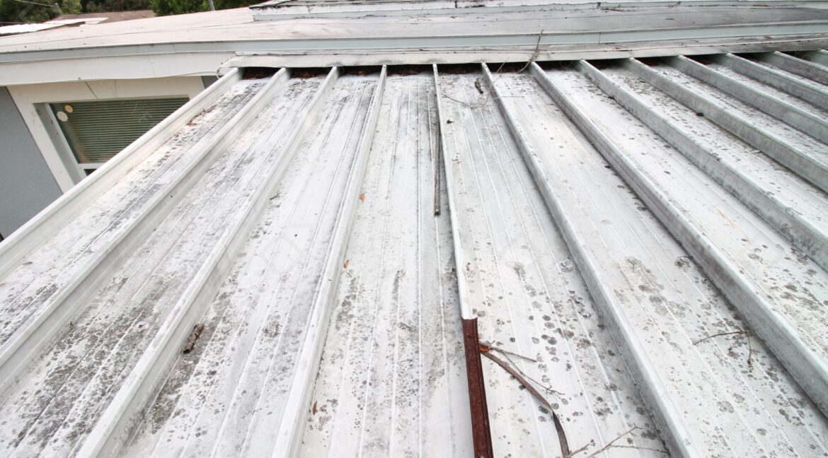 9315 N 16th St, Tampa, FL 33612 (18)