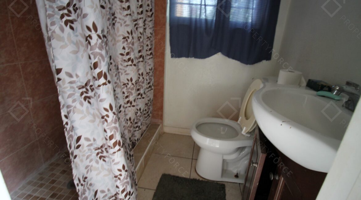 9315 N 16th St, Tampa, FL 33612 (60)