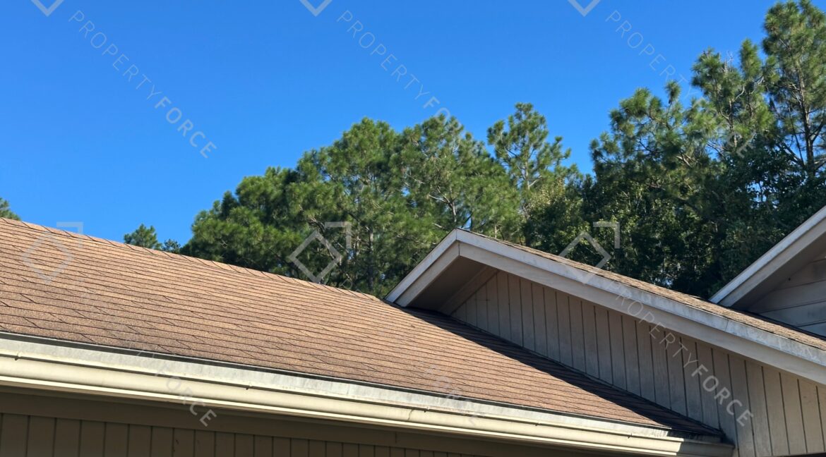 Photo Sep 04 2025, 5 31 45 PM