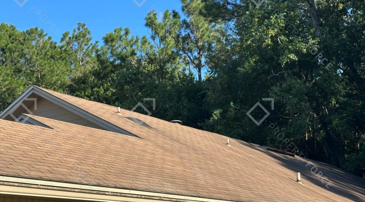 Photo Sep 04 2025, 5 32 42 PM