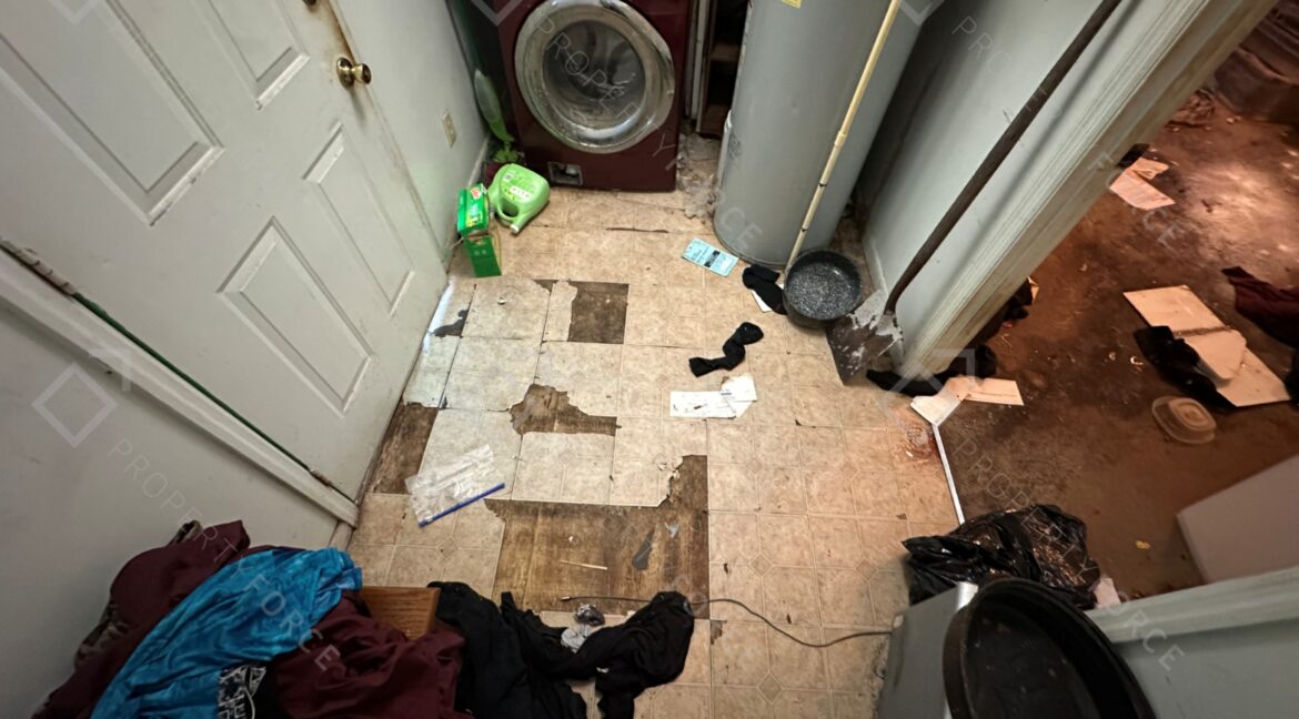 Photo Sep 18 2025, 6 33 52 PM