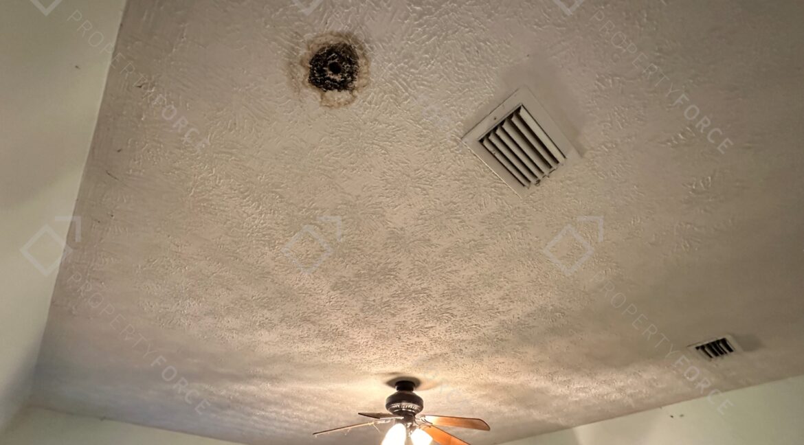 Photo Sep 18 2025, 6 34 33 PM