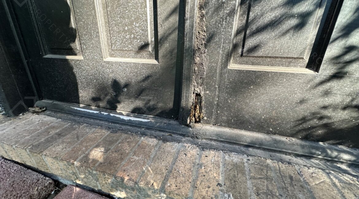 Photo Sep 24 2025, 5 27 37 PM