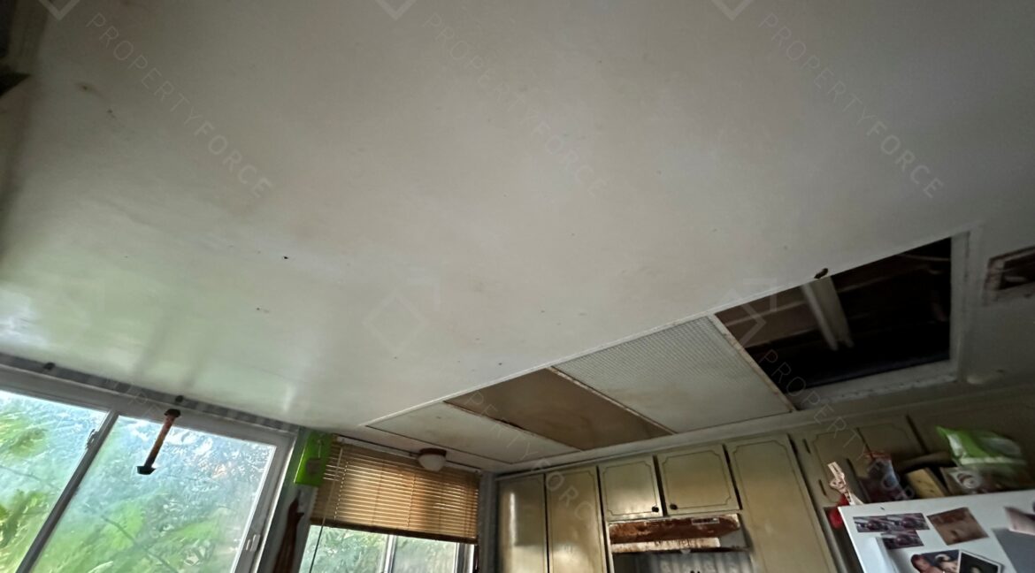 Photo Sep 24 2025, 5 35 03 PM