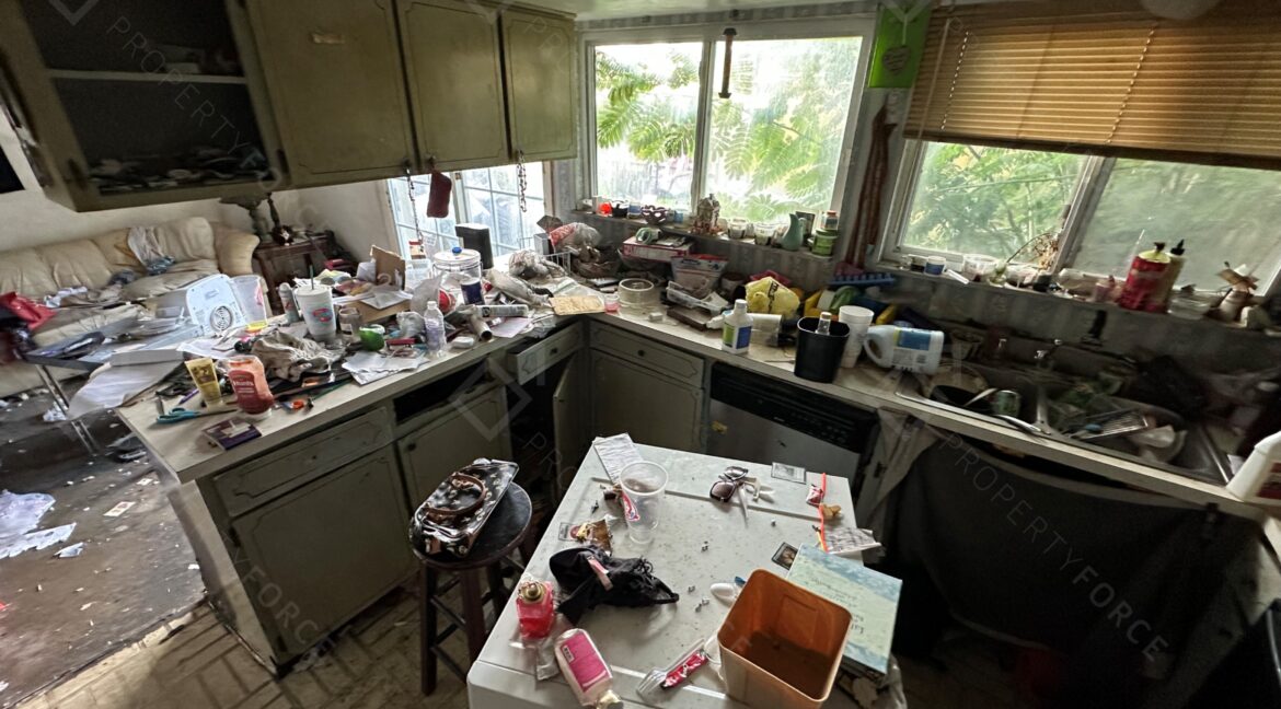 Photo Sep 24 2025, 5 35 13 PM