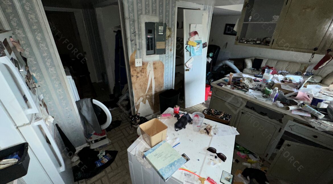 Photo Sep 24 2025, 5 35 39 PM