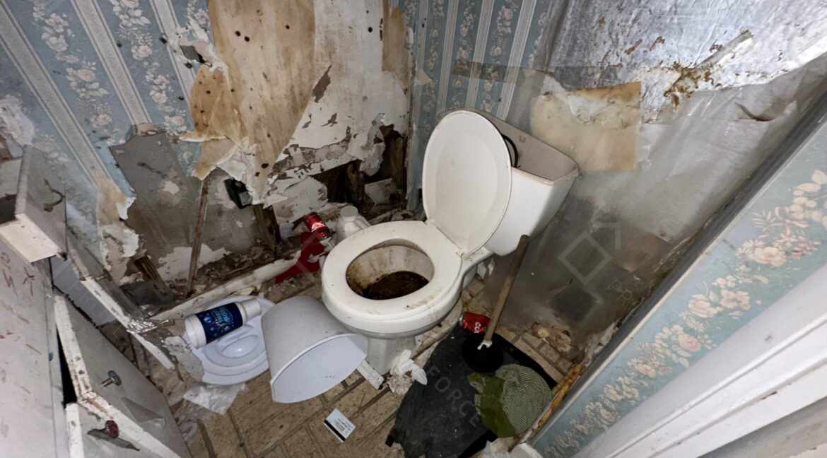 Photo Sep 24 2025, 5 36 21 PM