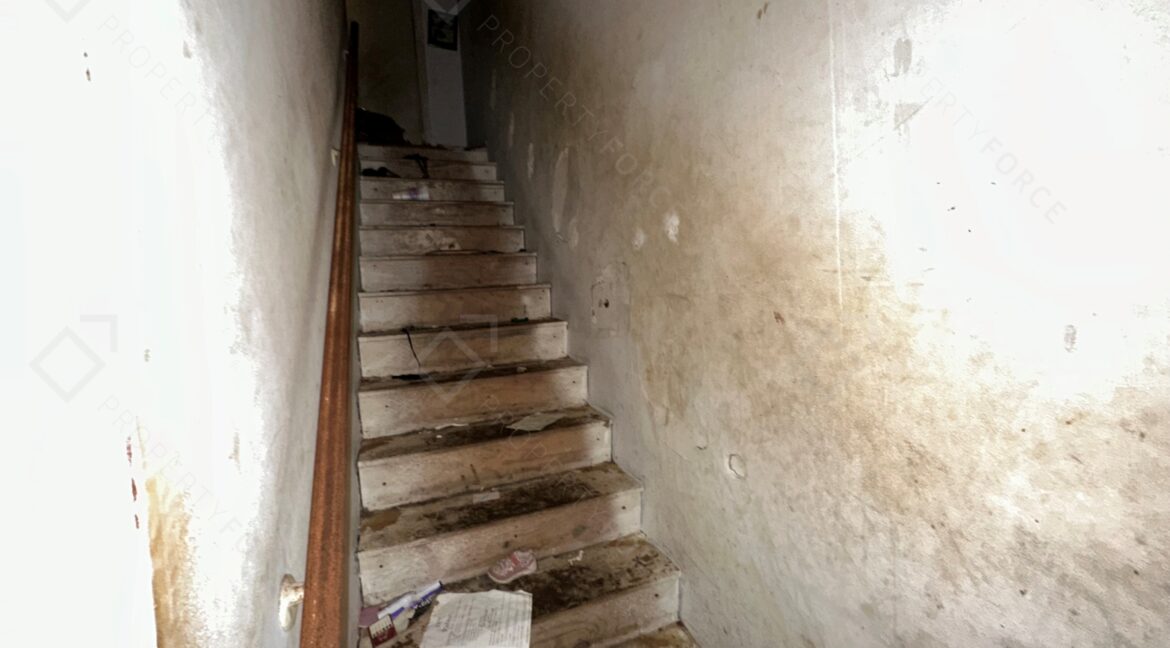 Photo Sep 24 2025, 5 37 54 PM