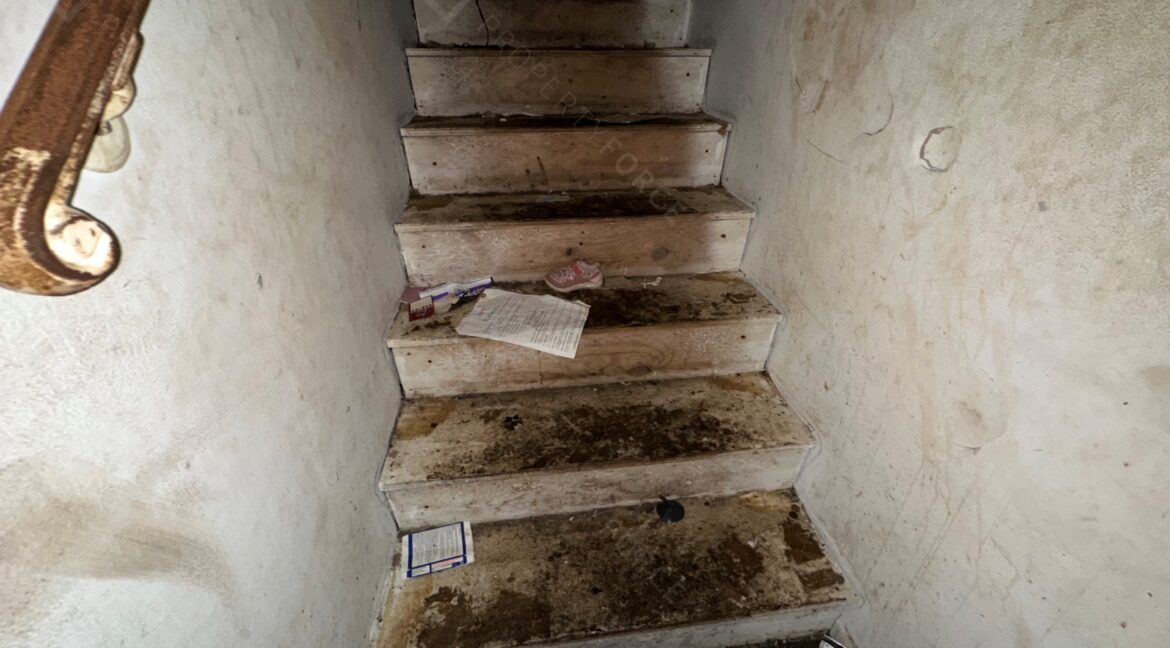 Photo Sep 24 2025, 5 37 58 PM