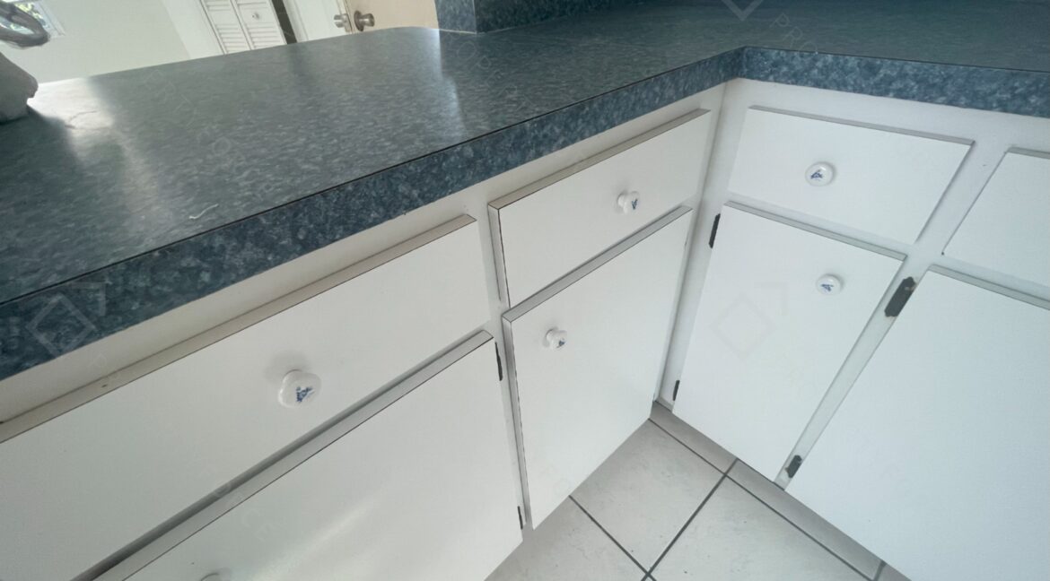 522 E Morgan St Tarpon Springs, FL 34689 (59)