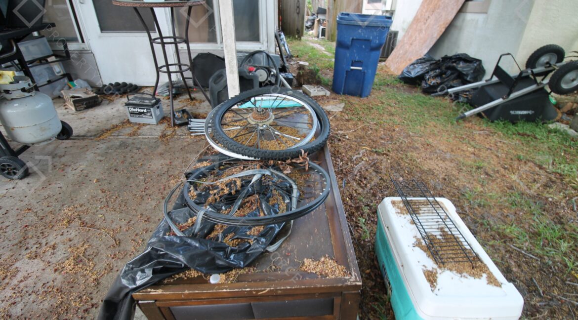 6315 Butte Ave, New Port Richey, FL 34653 (10)