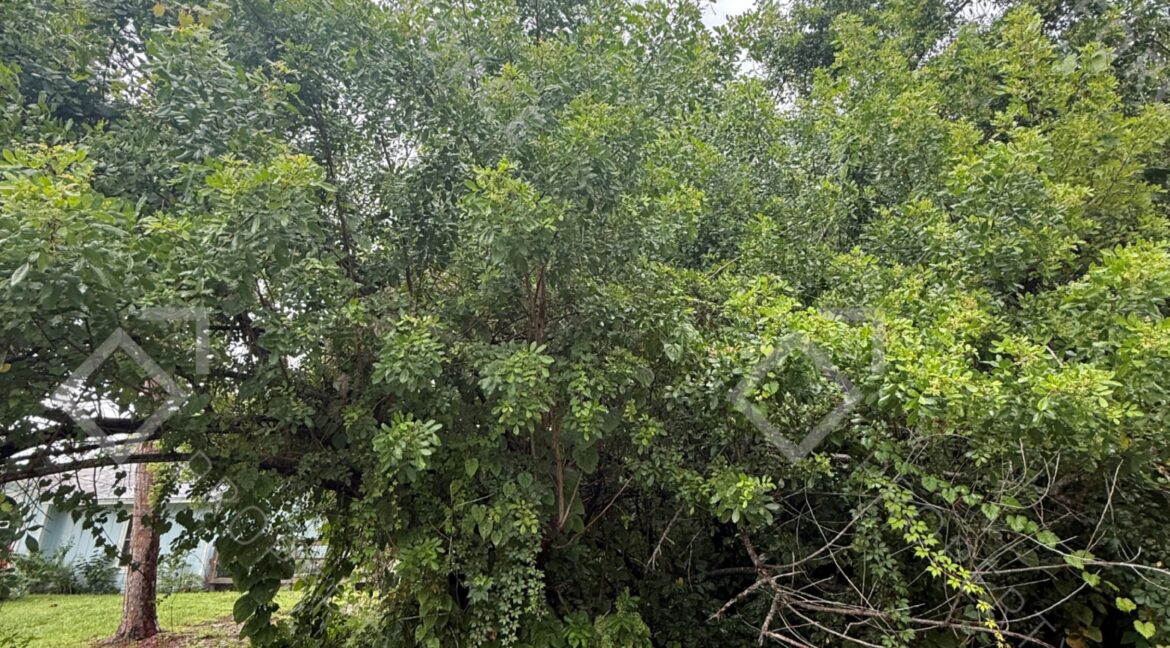 7002 Paso Robles Blvd Fort Pierce, FL 34951- (2)