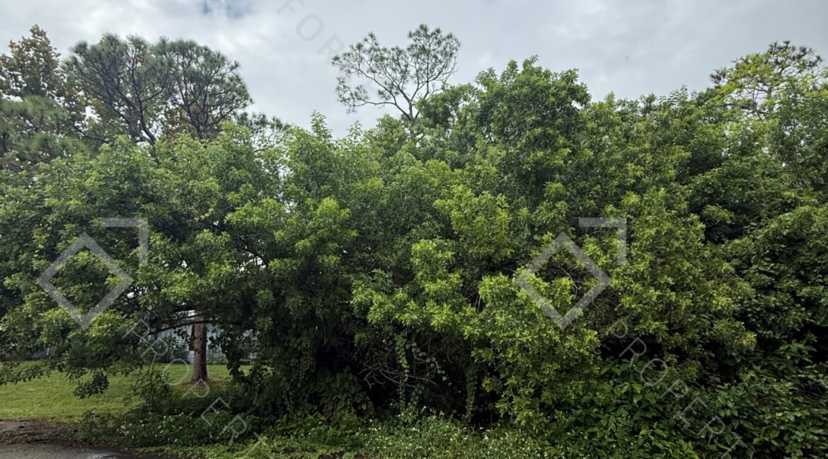 7002 Paso Robles Blvd Fort Pierce, FL 34951- (4)