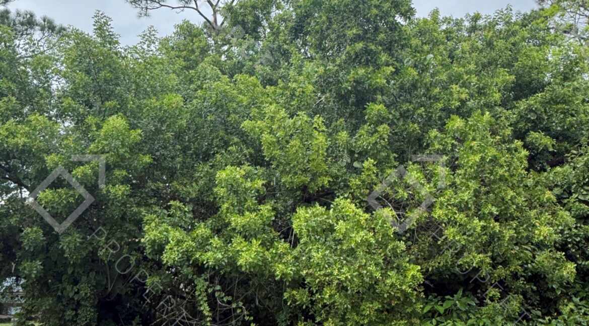 7002 Paso Robles Blvd Fort Pierce, FL 34951- (7)