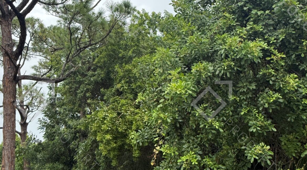 7002 Paso Robles Blvd Fort Pierce, FL 34951- (8)