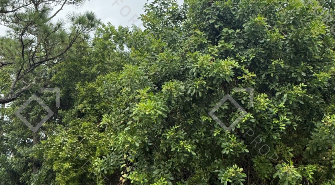 7002 Paso Robles Blvd Fort Pierce, FL 34951- (9)