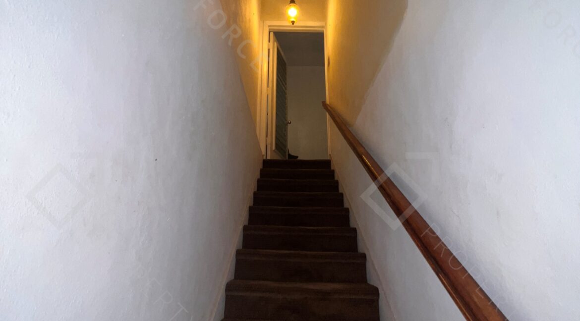 Photo Oct 03 2025, 10 51 41