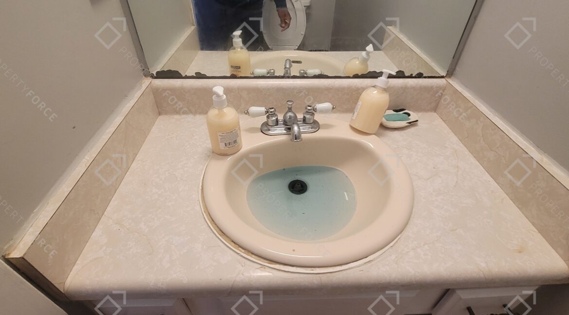 2920 Aspen Woods Entry Atlanta, GA 30360 (17)