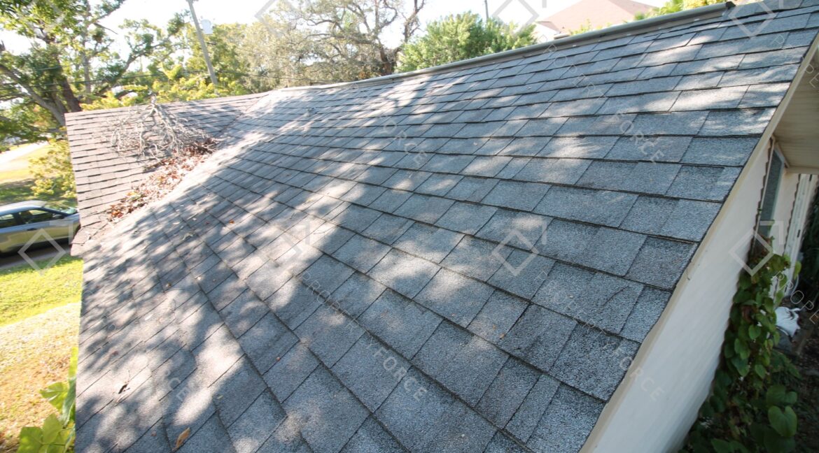 6425 S Richard Ave, Tampa, FL 33616 (27)