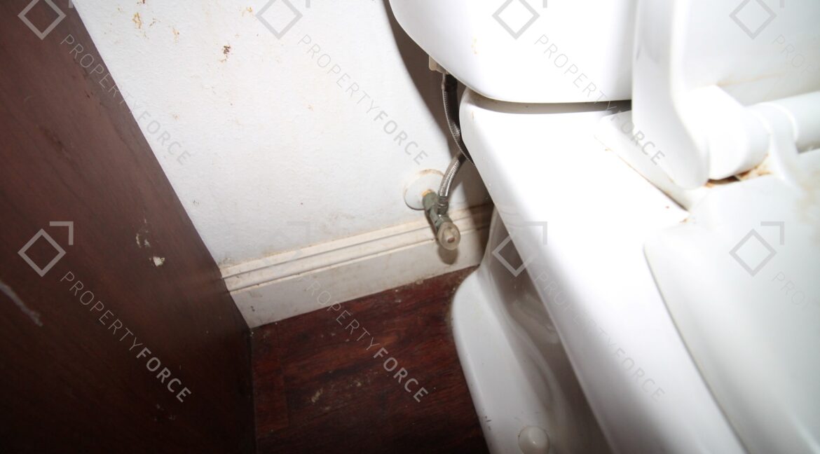 6425 S Richard Ave, Tampa, FL 33616 (38)