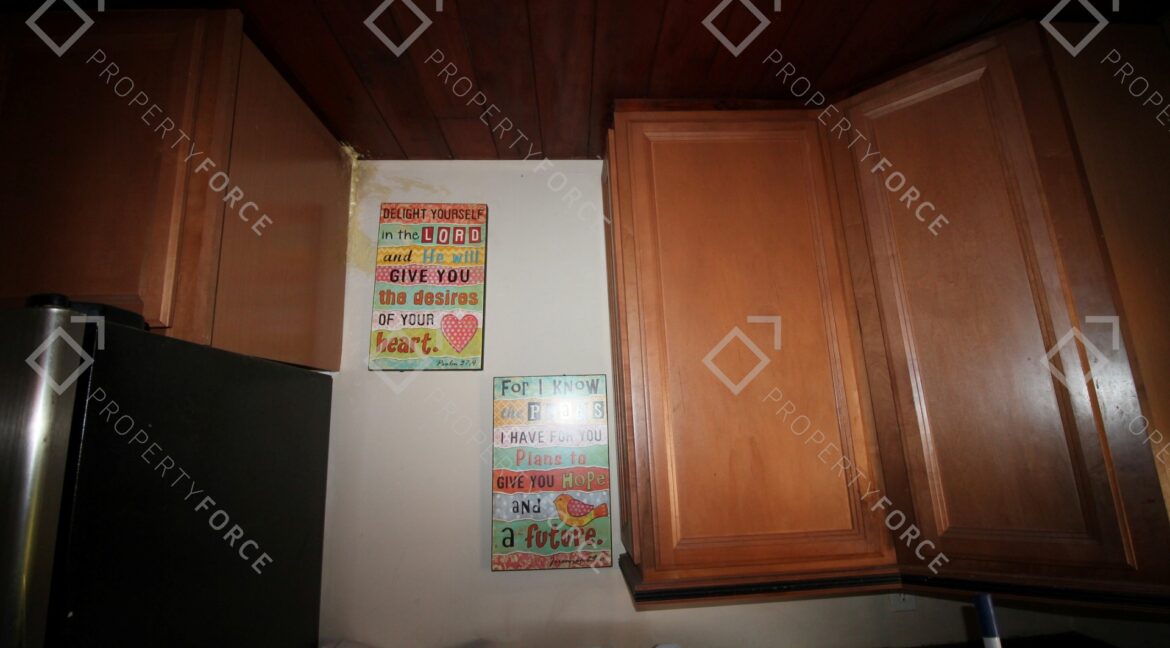 6425 S Richard Ave, Tampa, FL 33616 (46)