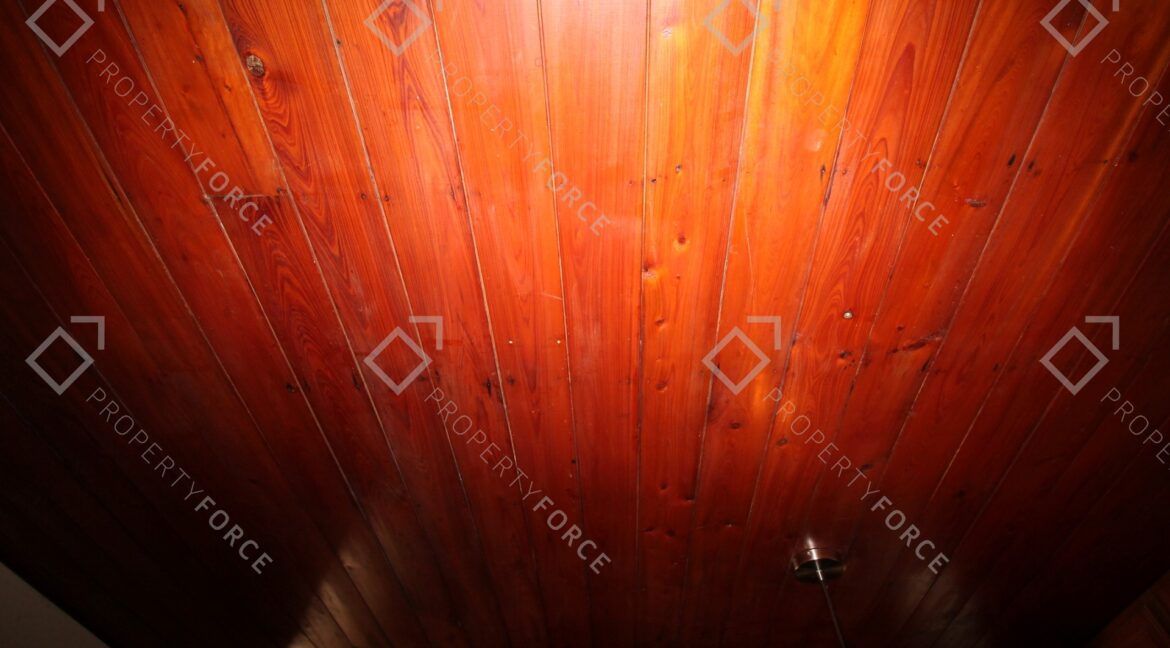 6425 S Richard Ave, Tampa, FL 33616 (51)