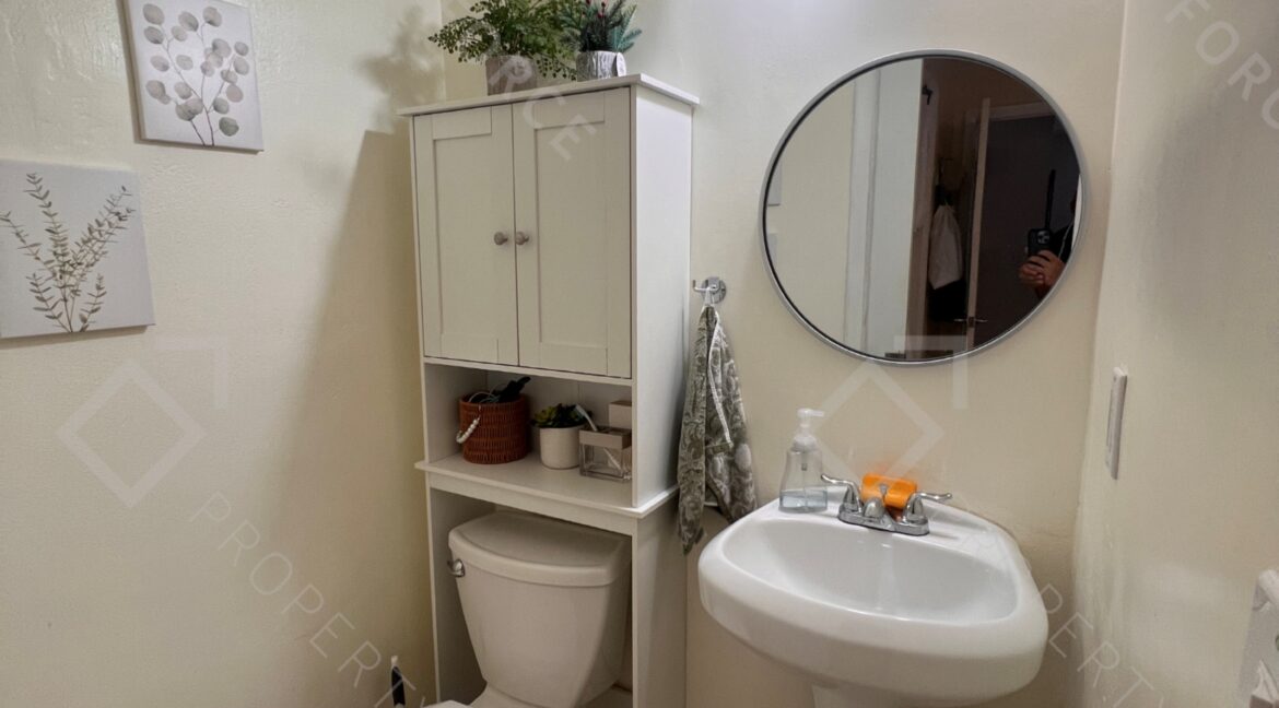 Photo Nov 15 2025, 11 46 39