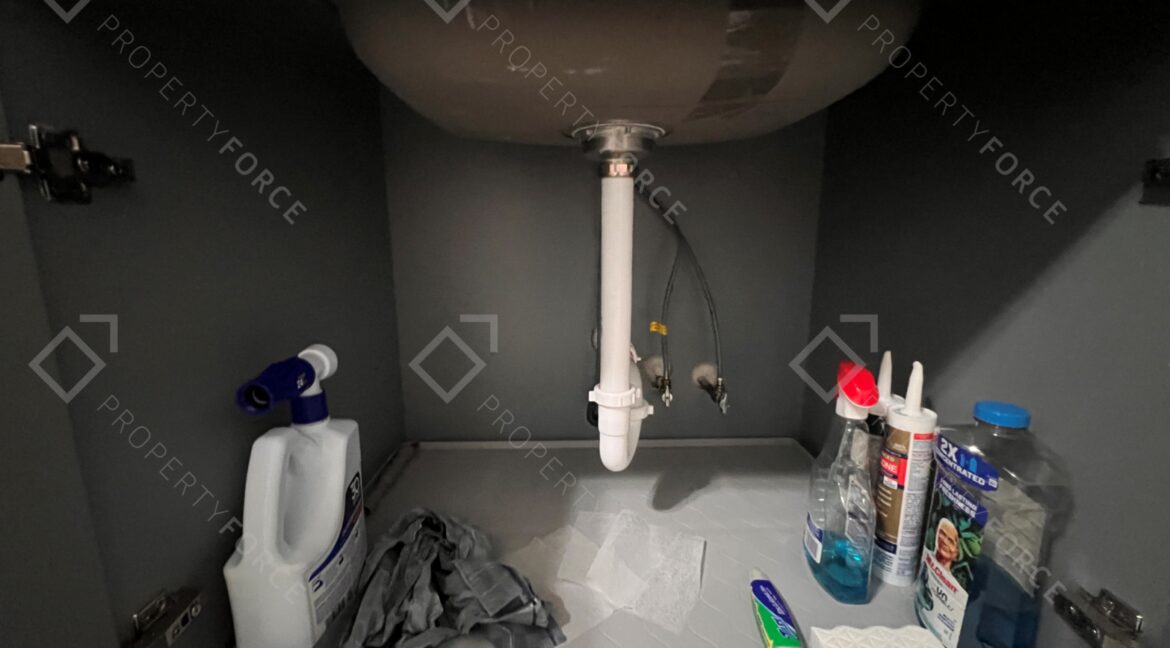 Photo Nov 15 2025, 11 48 40