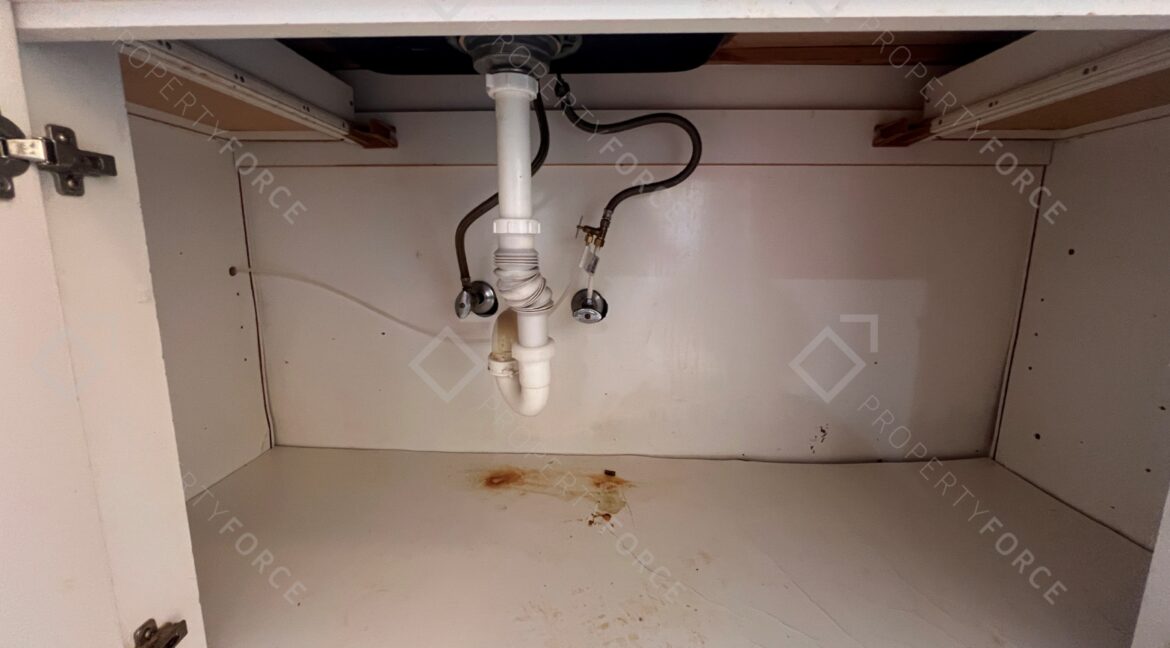 Photo Nov 15 2025, 11 49 52