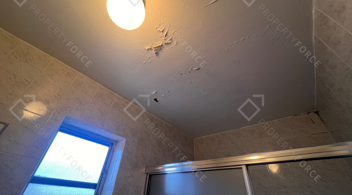 Photo Nov 15 2025, 11 50 23