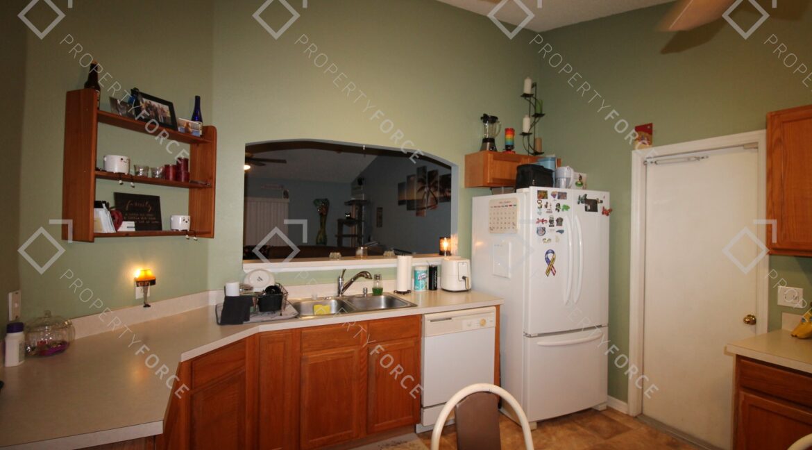 307 Plumtree Ave Spring Hill, FL 34606 (27)