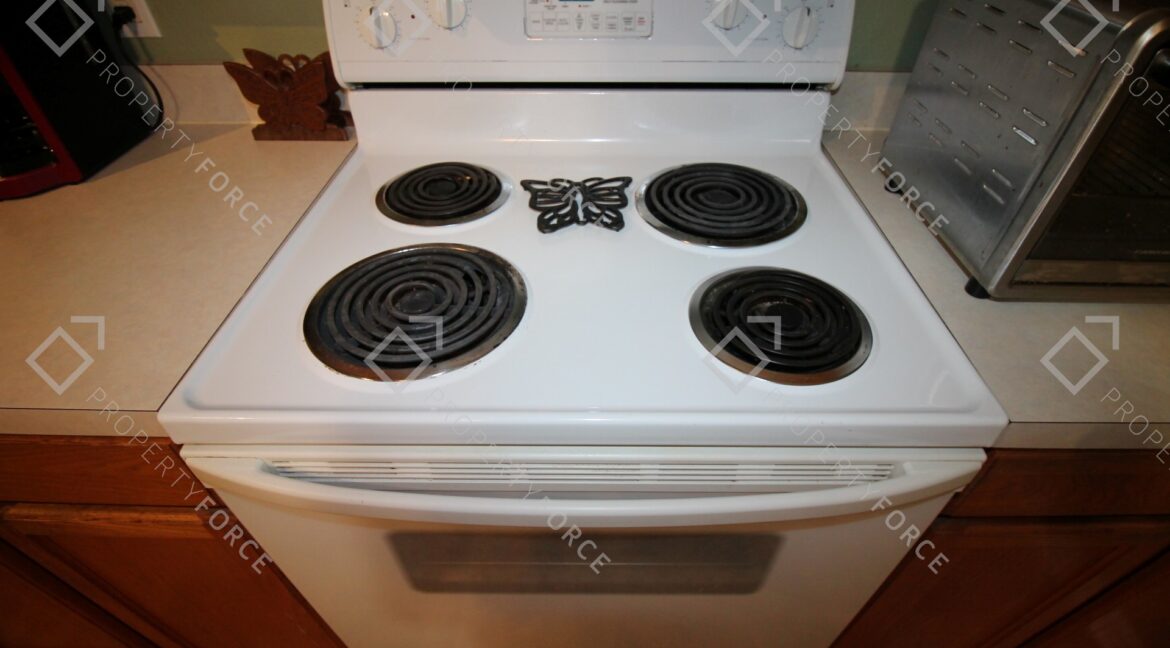 307 Plumtree Ave Spring Hill, FL 34606 (30)