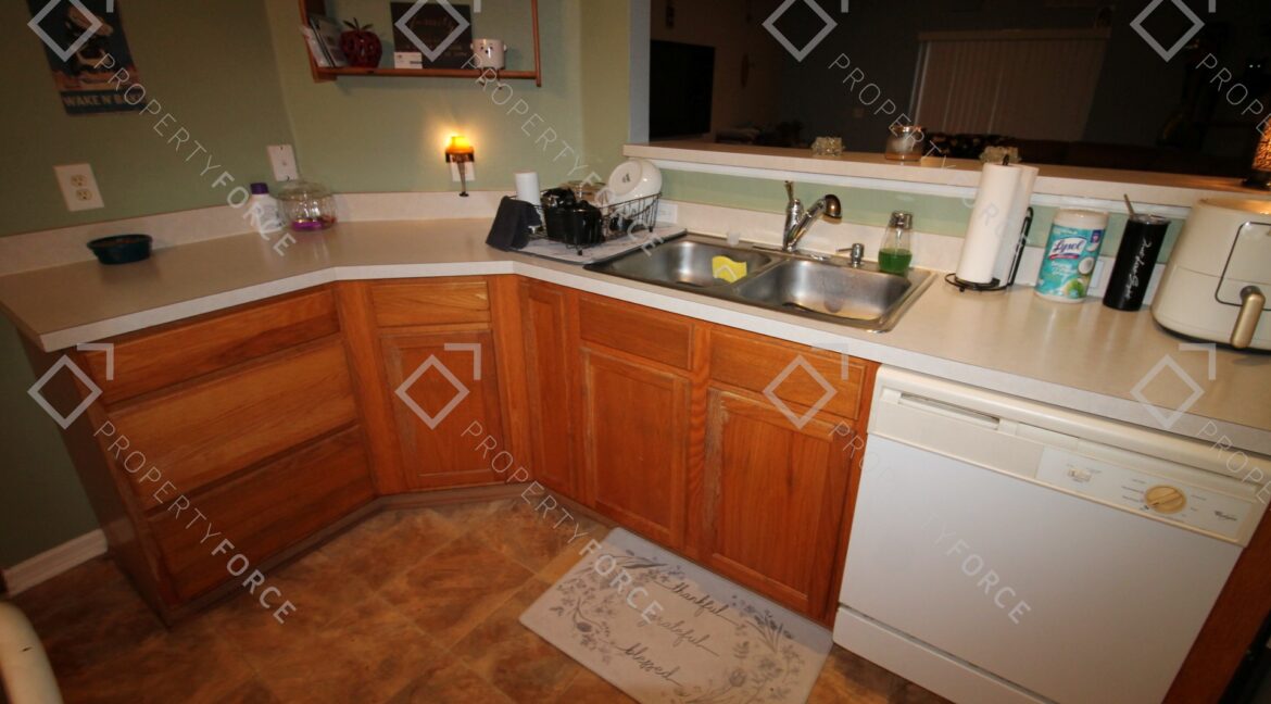 307 Plumtree Ave Spring Hill, FL 34606 (32)