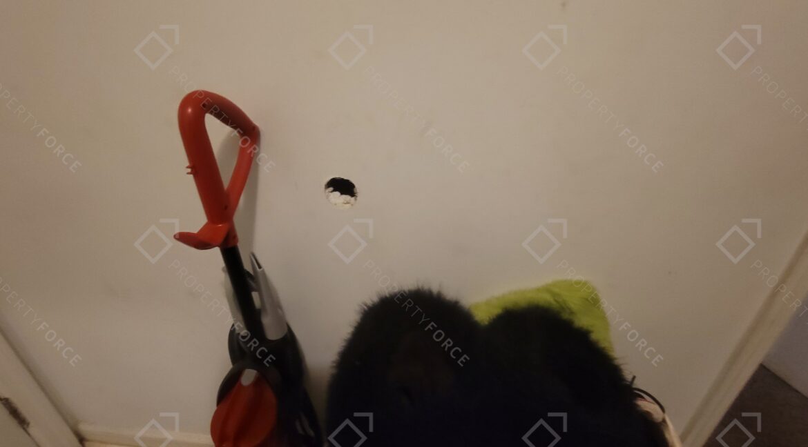 3519 Ten Oaks Cir Powder Springs GA 30127 (40)